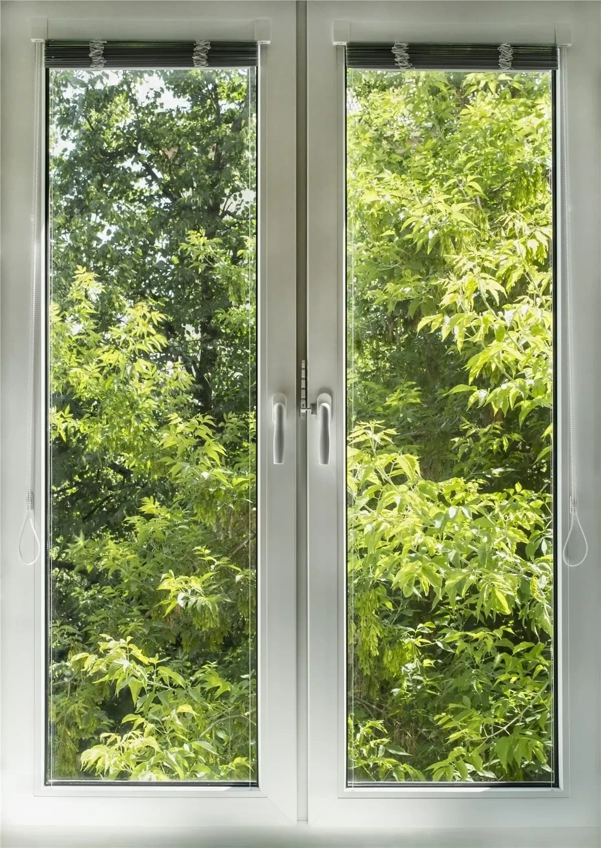 Window 04