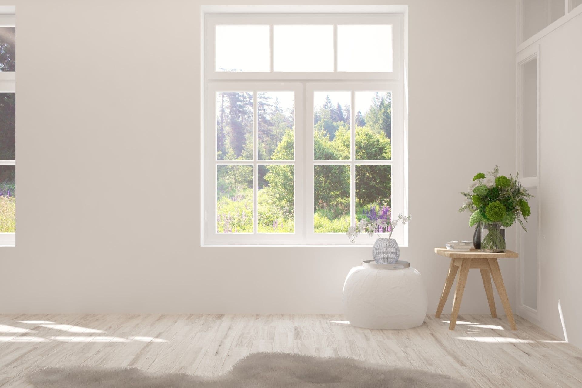Window
