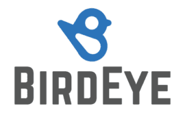 Birdeye Logo