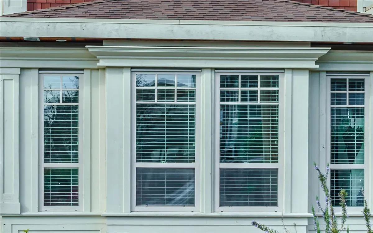 brandon windows 2